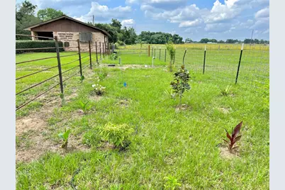 000 Fm 535, Rosanky, TX 78953 - Photo 19