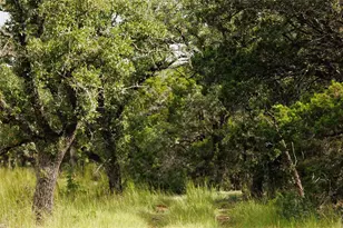 Lot 12 Ridgeway Trail, Johnson City, TX 78636 - Photo 19