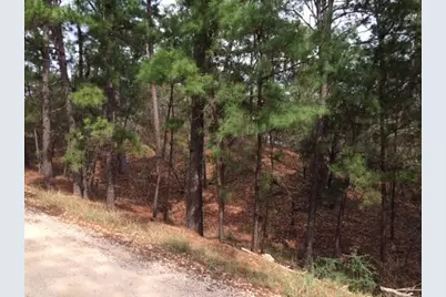 152 Molokini Drive, Bastrop, TX 78602 - Photo 3