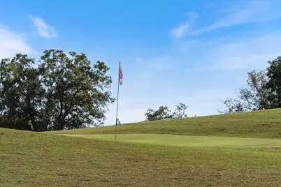 421 Saint Andrews Street, Meadowlakes, TX 78654 - Photo 33