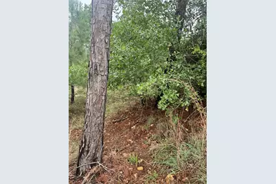 Lot 1613 Kaanapali Lane, Bastrop, TX 78602 - Photo 5