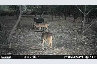 7257 Cr 252, Bertram, TX 78605 - Photo 25