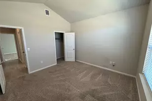 2440 Lobo Landing Cove, Georgetown, TX 78628 - Photo 11