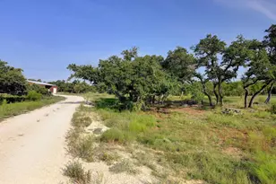 8952 Ranch Rd 165, Blanco, TX 78606 - Photo 17