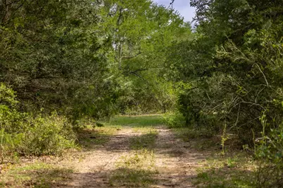 Tbd Highway 77 S, Giddings, TX 78942 - Photo 9