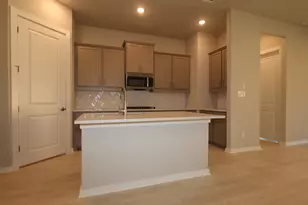 116 Norway Spruce St, Dripping Springs, TX 78620 - Photo 5
