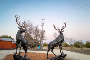 13510 County Road 3642, Kempner, TX 76539 - Photo 5