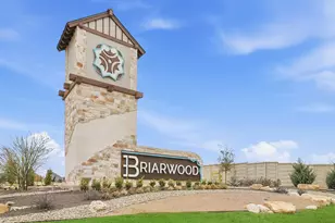 25529 Farmers Crop Ln, Elgin, TX 78621 - Photo 3