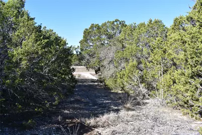 Lot 35 Riparian Elm Road, Bertram, TX 78605 - Photo 3