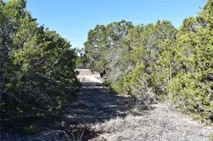 Lot 35 Riparian Elm Rd, Bertram, TX 78605 - Photo 3