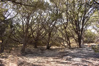 Lot 35 Riparian Elm Road, Bertram, TX 78605 - Photo 11