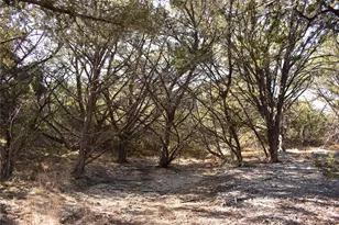 Lot 35 Riparian Elm Rd, Bertram, TX 78605 - Photo 11