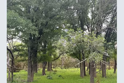Lot 41 Maverick Way, Briggs, TX 78608 - Photo 13