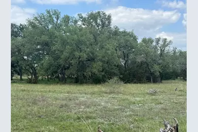 Lot 41 Maverick Way, Briggs, TX 78608 - Photo 5