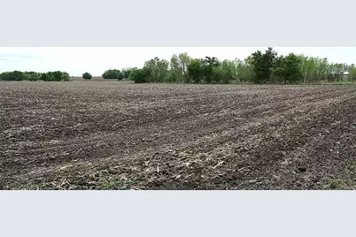 19374 Pennington Branch Road, Holland, TX 76534 - Photo 9