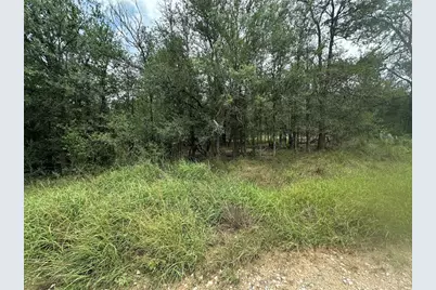 187 Puu Waa Waa Lane, Bastrop, TX 78602 - Photo 1