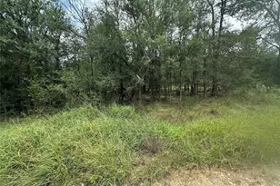 187 Puu Waa Waa Ln, Bastrop, TX 78602 - Photo 1