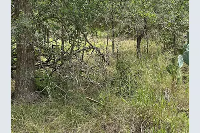 187 Puu Waa Waa Lane, Bastrop, TX 78602 - Photo 3