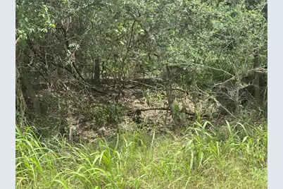 187 Puu Waa Waa Lane, Bastrop, TX 78602 - Photo 7