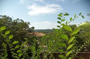 6010 Long Champ Ct, Austin, TX 78746 - Photo 5