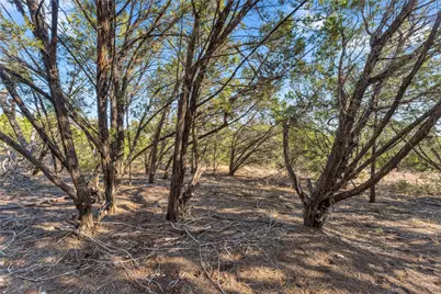 8614 Bar K Ranch Road, Lago Vista, TX 78645 - Photo 7