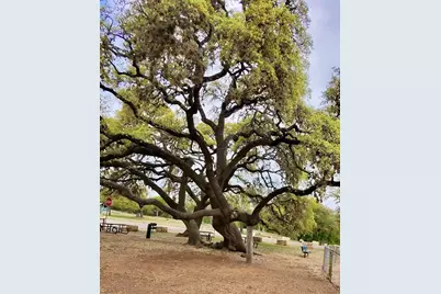 11104 4th Street, Jonestown, TX 78645 - Photo 5