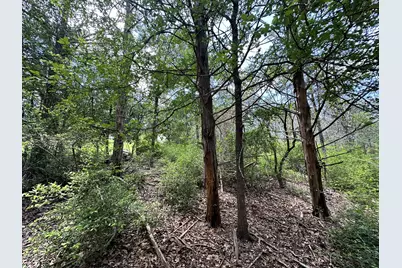 Tbd Oah Court, Bastrop, TX 78602 - Photo 7