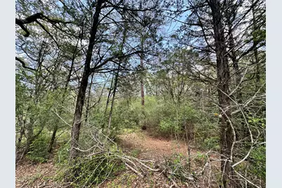 Tbd Oah Court, Bastrop, TX 78602 - Photo 11