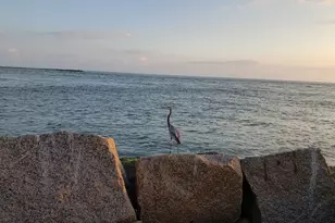 1000 N Station St, Port Aransas, TX 78373 - Photo 19