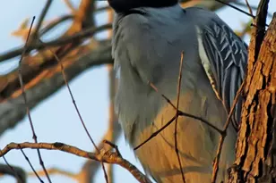 1601 E 19th St, Georgetown, TX 78626 - Photo 31