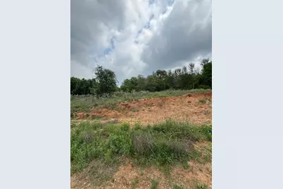 316 Kahana Lane, Bastrop, TX 78602 - Photo 3