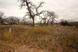 205 Big Spur, Horseshoe Bay, TX 78657 - Photo 3