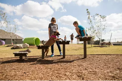 519 Tricia Court, Liberty Hill, TX 78642 - Photo 31