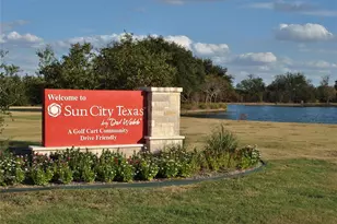 247 Bonham Loop, Georgetown, TX 78633 - Photo 25