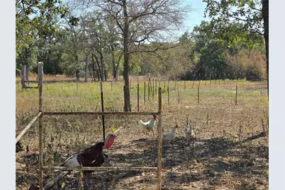 376 Jones Road, Cedar Creek, TX 78612 - Photo 39