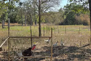 376 Jones Rd, Cedar Creek, TX 78612 - Photo 39