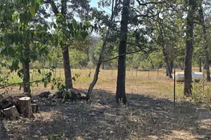 376 Jones Rd, Cedar Creek, TX 78612 - Photo 27