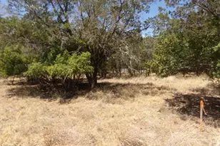 Lot 141 Pine Ln, Cottonwood Shores, TX 78657 - Photo 3