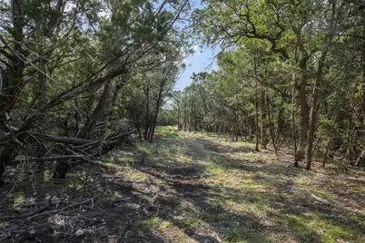 Tract 4 Mount Olive School Road, Wimberley, TX 78676 - Photo 15
