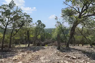 Tract 4 Mount Olive School Rd, Wimberley, TX 78676 - Photo 1
