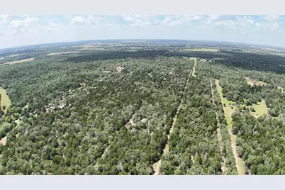 Tbd Lot 15 Pecan Street, Paige, TX 78659 - Photo 3