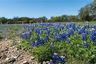 27213 Waterfall Hill Pkwy, Spicewood, TX 78669 - Photo 3