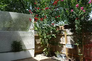 9009 N Plaza, Austin, TX 78753 - Photo 21