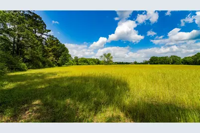 Tbd Fm 1488, Magnolia, TX 77355 - Photo 11