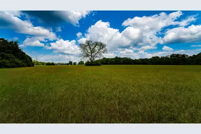 Tbd Fm 1488, Magnolia, TX 77355 - Photo 9