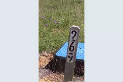 112 Hiram Cook Drive, Blanco, TX 78606 - Photo 3