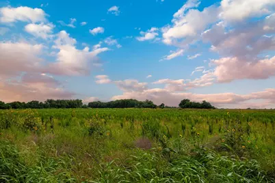 150 County Road 126, Georgetown, TX 78626 - Photo 9