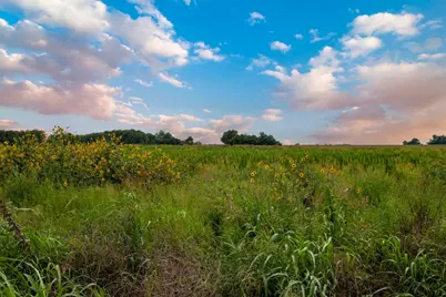 150 County Road 126, Georgetown, TX 78626 - Photo 7