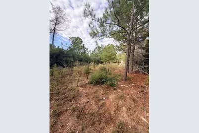 127 Koali Drive, Bastrop, TX 78602 - Photo 15