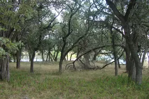 6703 Bar K Ranch Rd, Lago Vista, TX 78645 - Photo 1